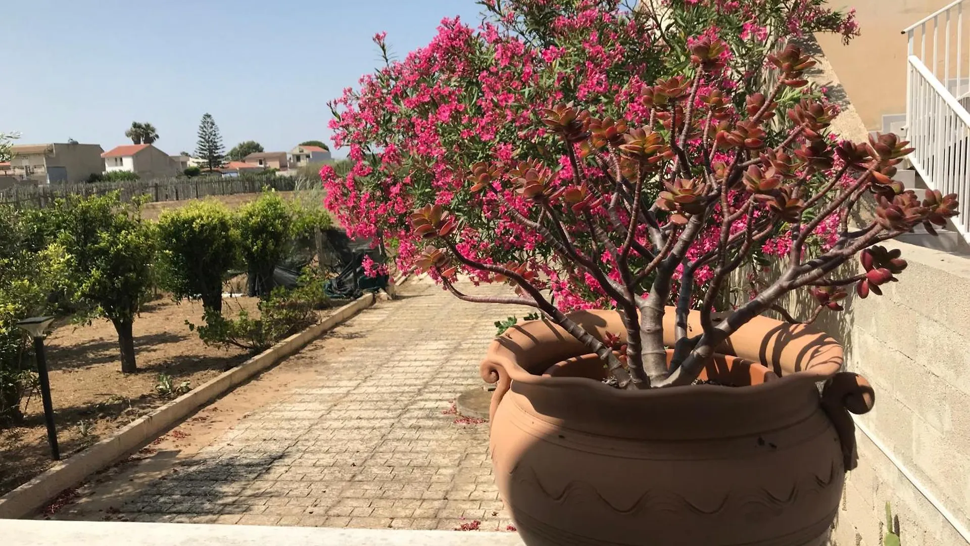 Villino Oleandro Villa Santa Maria Del Focallo Holiday home