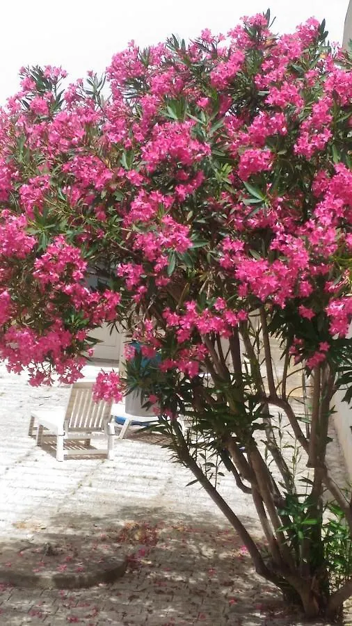 Holiday home Villino Oleandro Villa Santa Maria Del Focallo Italy